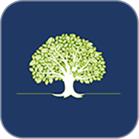 Mutual Fund Partner - Fintopia Financial Services
